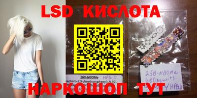 хмурый Бийск