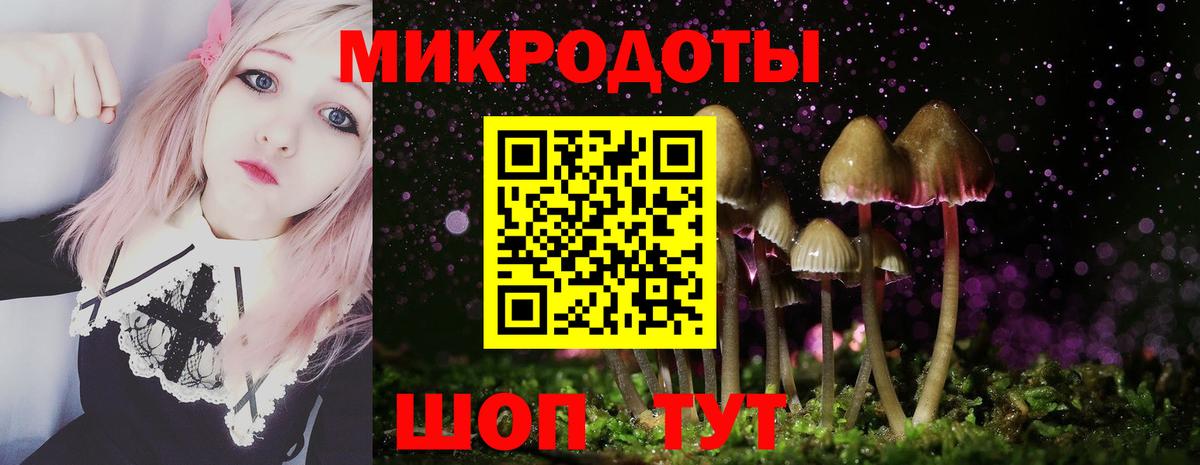 Галлюциногенные грибы Psilocybine cubensis Ишимбай