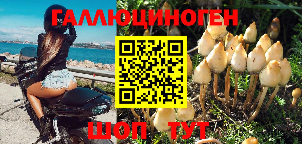 Псилоцибиновые грибы ЛСД  Псилоцибиновые грибы Cubensis  Ишимбай  Вход с VPN 